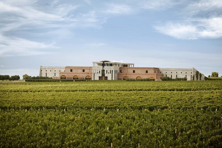Uco Valley Gourmet Wine Tour
