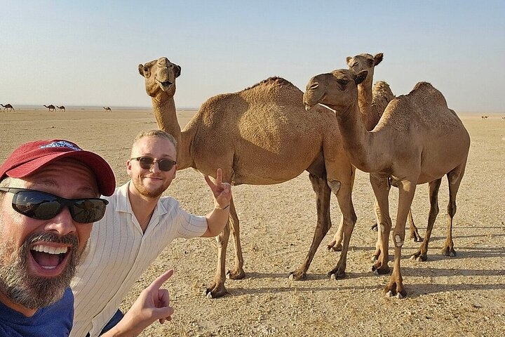 Kuwait: Half-Day City & Desert Tour with Pick-Up & Drop-Off