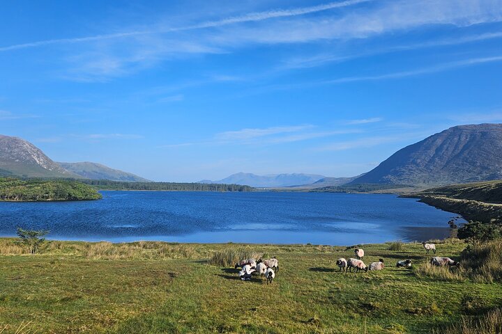 Kylemore Abbey Connemara Walking Tour Experience