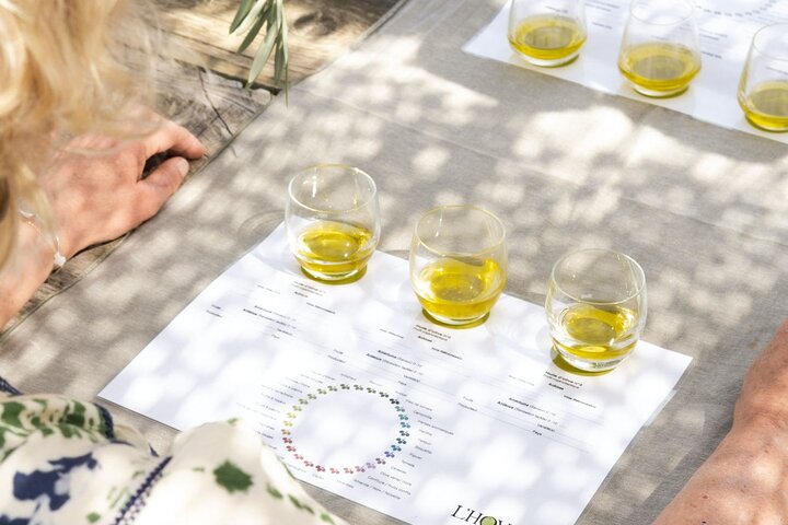Kid Friendly Provence Ice Cream and Olive Oil Tasting Experience