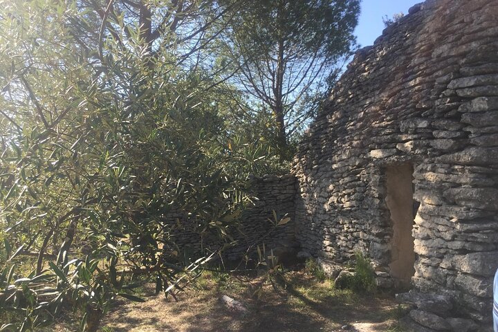 Kid Friendly Provence Ice Cream and Olive Oil Tasting Experience