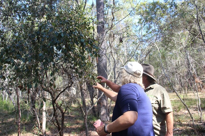 Unique and Personal BushTracks Eco Tour in Agnes Water 1770