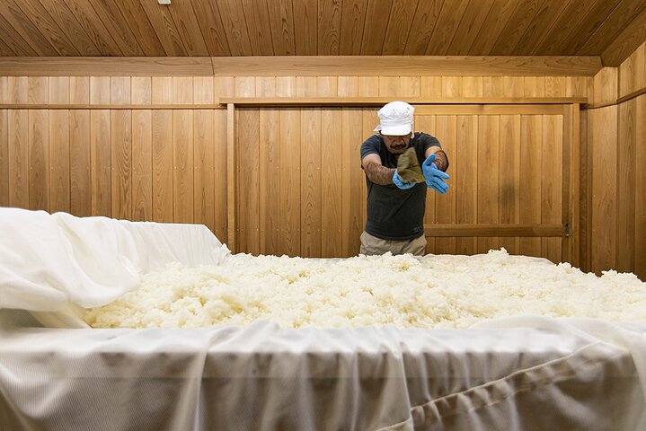 Sake Brewery Tour, Sake Cuisine and Pairing Experience