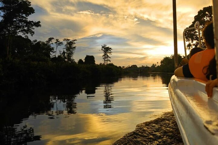 Borneo (Klias) River Cruise & Fireflies Tour