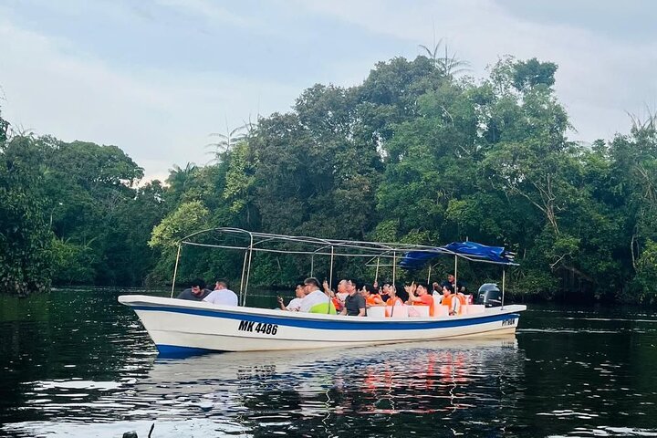 Borneo (Klias) River Cruise & Fireflies Tour
