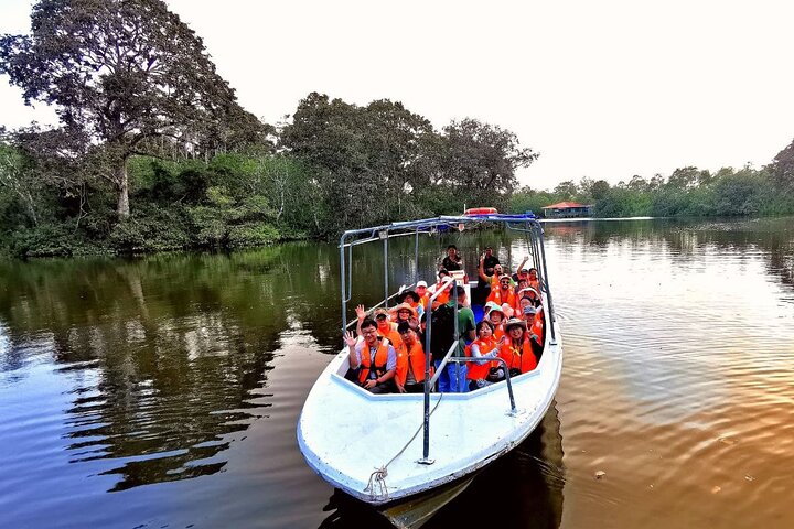 Borneo (Klias) River Cruise & Fireflies Tour