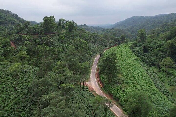 Amchong Leaf, A Walkthrough Experience