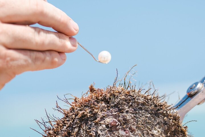 Pearls & Coast: 35-Minute Helicopter Flight & Willie Creek Tour