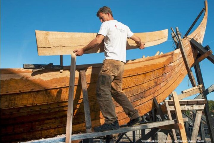 Full-Day; Castle, Palace, Cathedral & Viking ships Tour