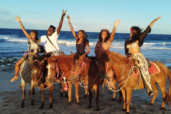 Aruba Ecological & Coastline Horseback Ride with Beach Photo Stop