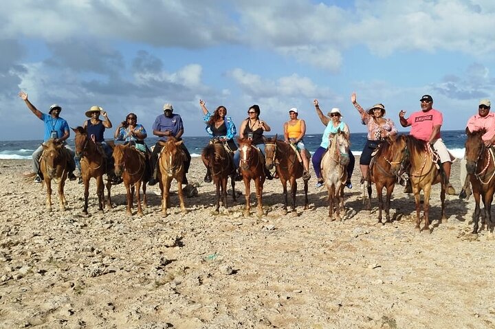 Aruba Ecological & Coastline Horseback Ride with Beach Photo Stop