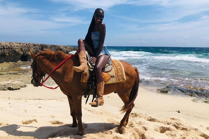 Aruba Ecological & Coastline Horseback Ride with Beach Photo Stop