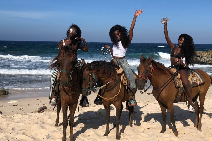 Aruba Ecological & Coastline Horseback Ride with Beach Photo Stop