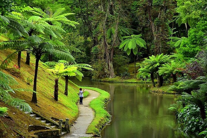 Furnas Volcano & Tea Plantation With Traditional Lunch, East Tour