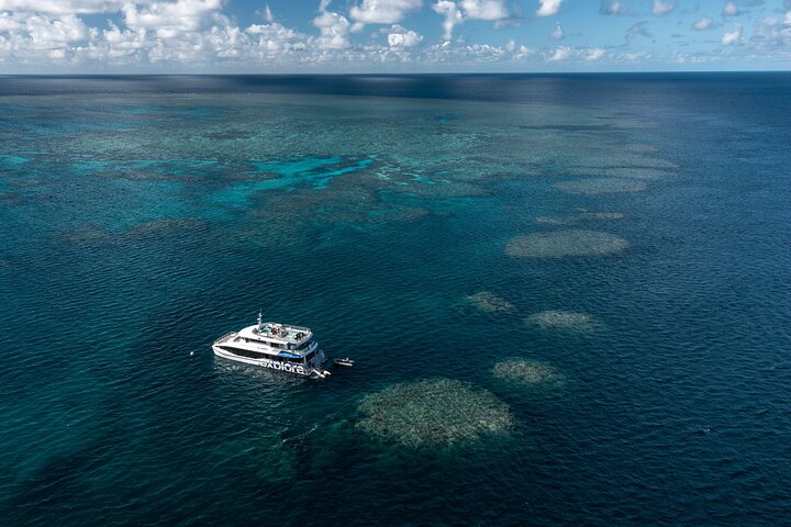Full-Day Great Barrier Reef Snorkeling from Hamilton Island