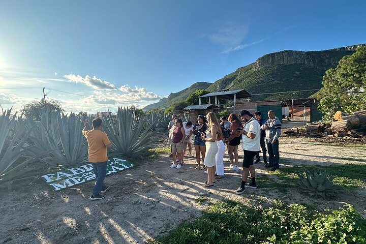 Hierve el Agua,Arbol Del Tule,Mitla,Mezcal and Teotitlan del valle