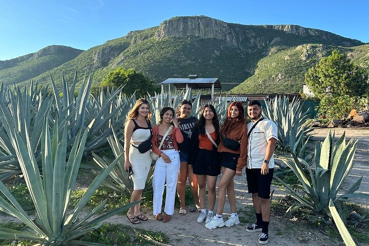 Hierve el Agua,Arbol Del Tule,Mitla,Mezcal and Teotitlan del valle