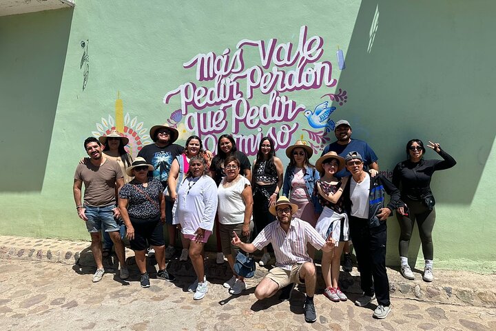Hierve el Agua,Arbol Del Tule,Mitla,Mezcal and Teotitlan del valle