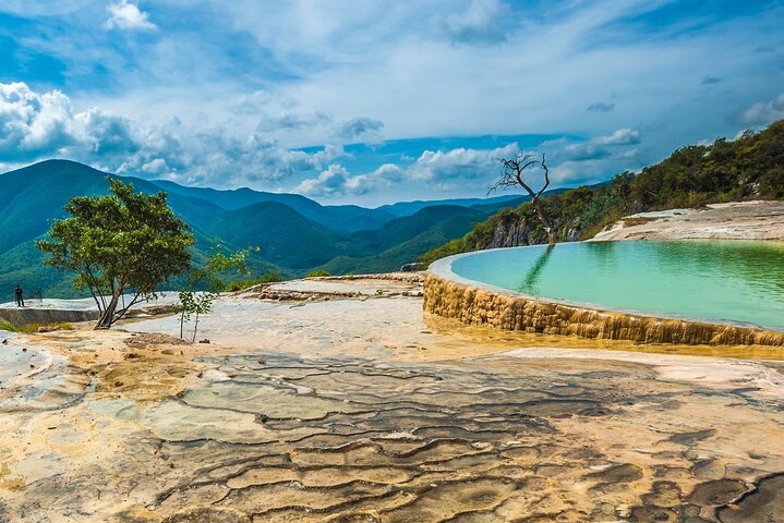 Hierve el Agua,Arbol Del Tule,Mitla,Mezcal and Teotitlan del valle