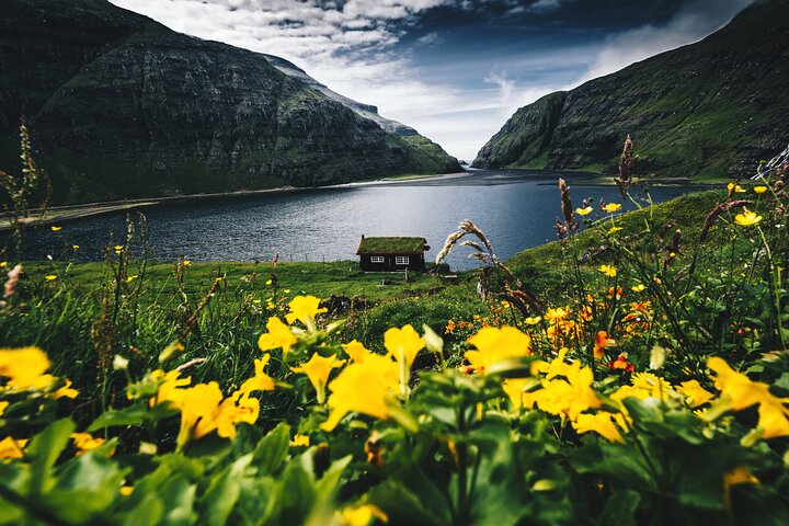 Faroe Islands: Private Highlights Tour