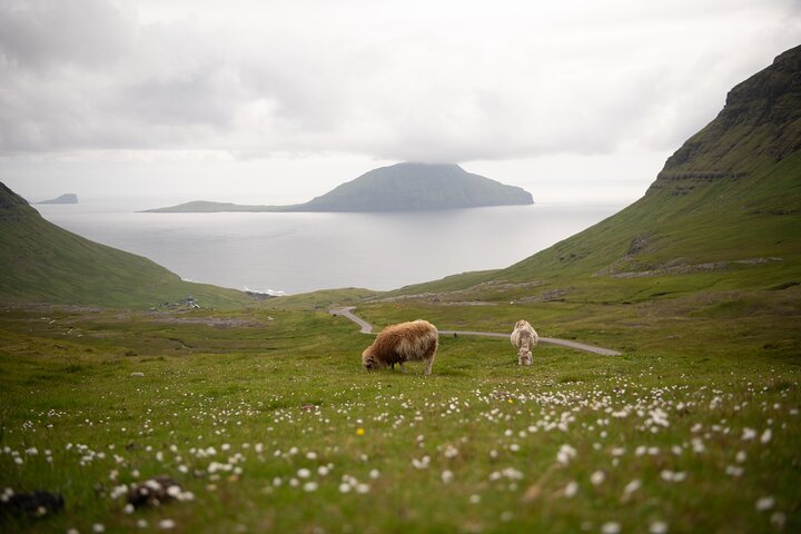 Faroe Islands: Private Highlights Tour