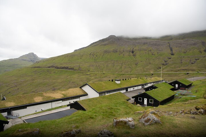 Faroe Islands: Private Highlights Tour