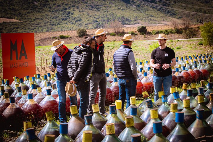Wine Tour in Roussillon: Picnic & Tasting Day