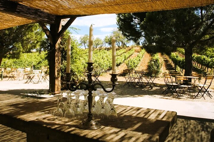 Wine Tour in Roussillon: Picnic & Tasting Day