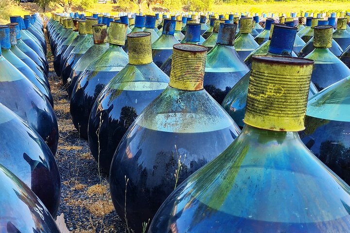 Wine Tour in Roussillon: Picnic & Tasting Day