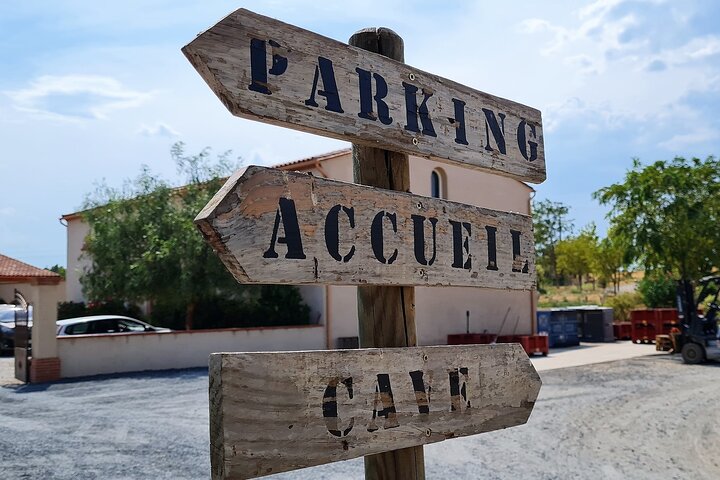 Wine Tour in Roussillon: Picnic & Tasting Day