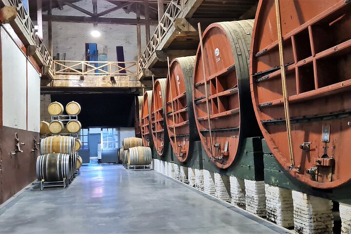 Wine Tour in Roussillon: Picnic & Tasting Day