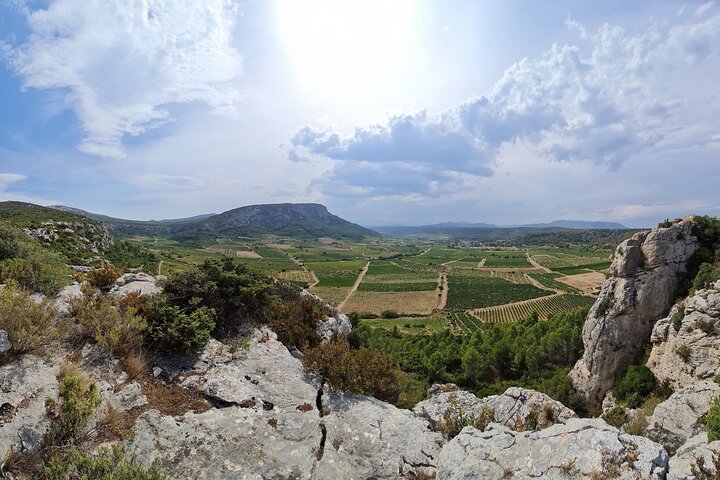 Wine Tour in Roussillon: Picnic & Tasting Day