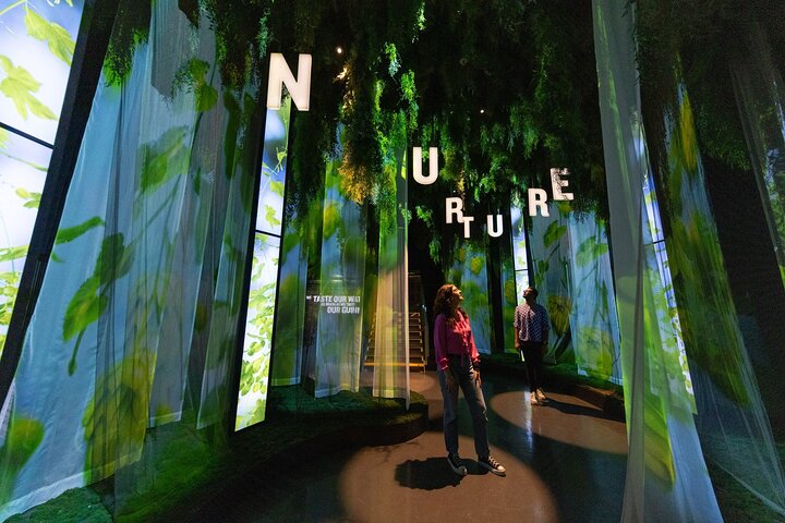 Guinness Storehouse Experience