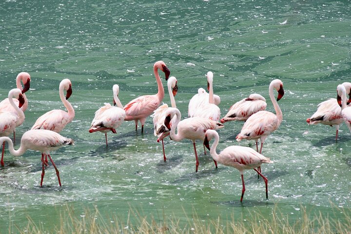 Walking Safari, Canoe & Game Drive – Arusha National Park