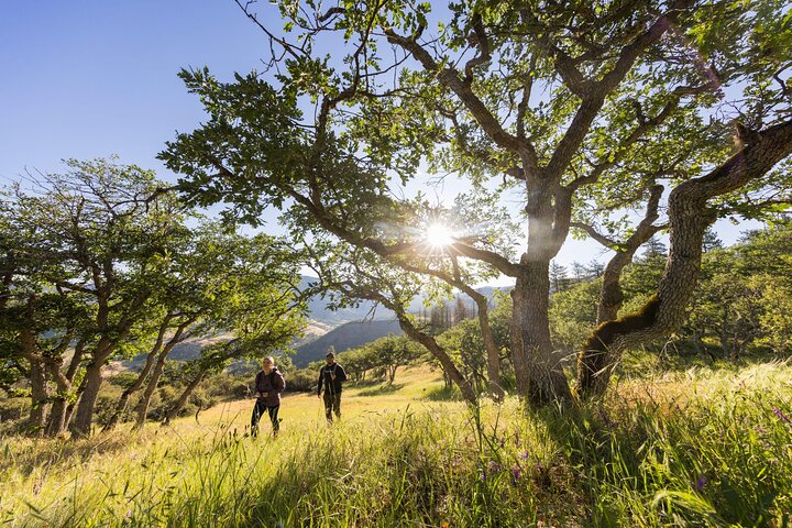 Walking Safari, Canoe & Game Drive – Arusha National Park