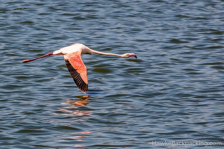 Walking Safari, Canoe & Game Drive – Arusha National Park