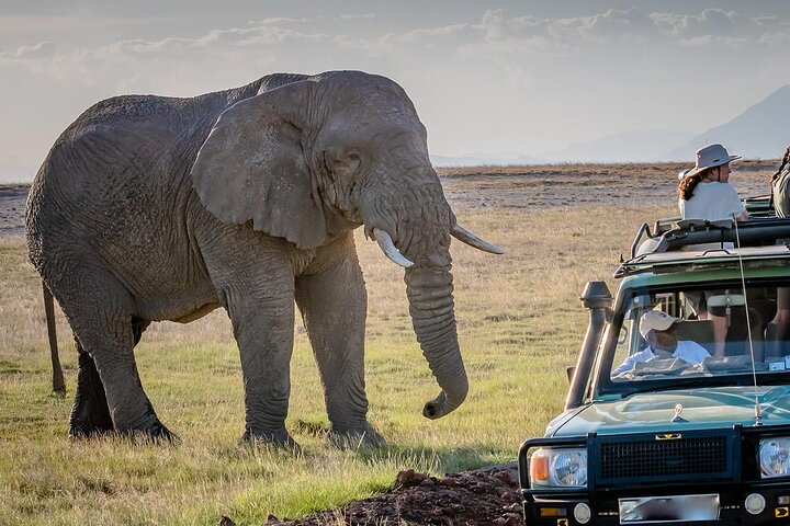 Walking Safari, Canoe & Game Drive – Arusha National Park