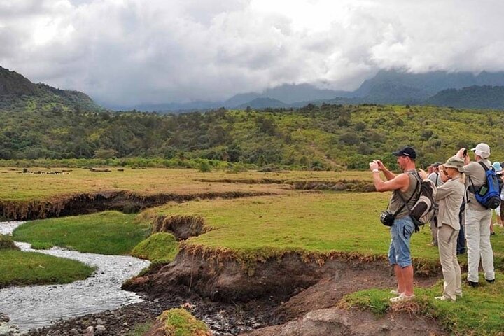 Walking Safari, Canoe & Game Drive – Arusha National Park