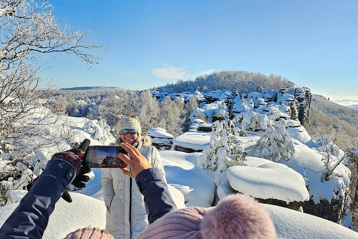 Best Reviews: Bohemian & Saxon Switzerland Day Trip From Prague