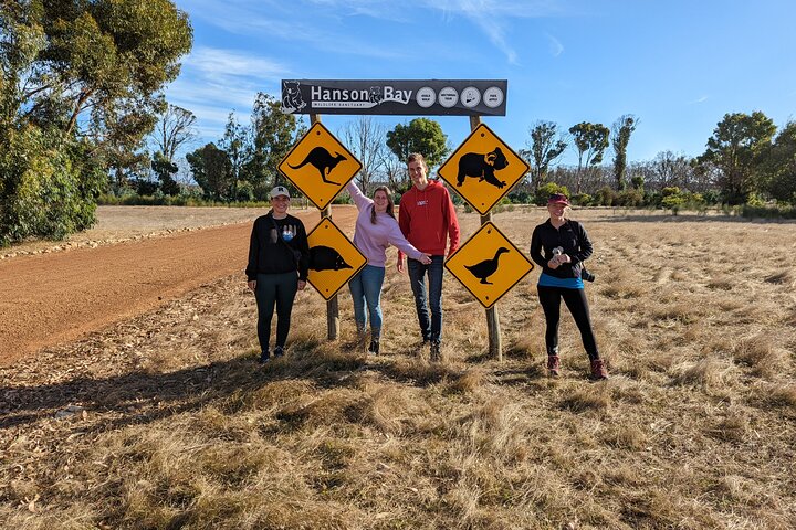 Guided Koala Walk and Bushfire ecology tour