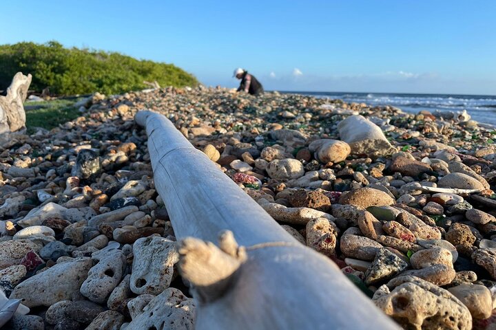 Private Sea Glass Island Kayak Morning + Transfer