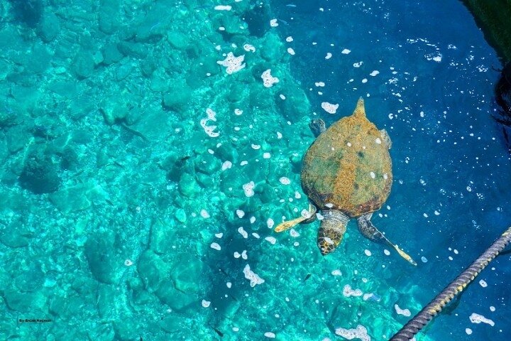 Marmaris Dalyan Turtle Beach Tour : Lunch&Mud Baths&King Tombs