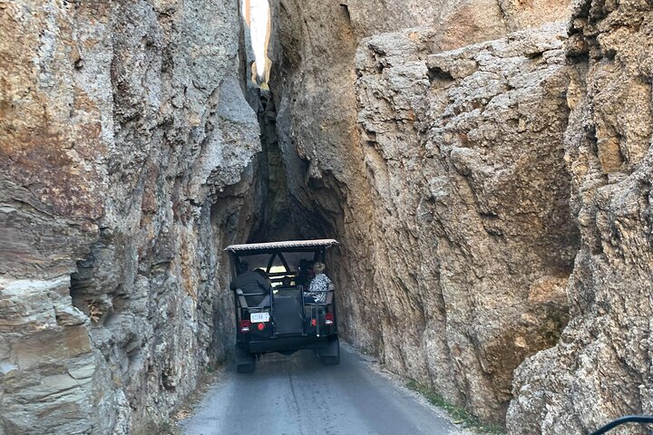 The Only Full Day - Jeep Bison Safari - W/ Lakeside Picnic Lunch