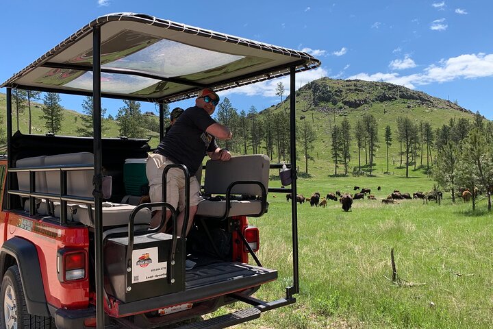 The Only Full Day - Jeep Bison Safari - W/ Lakeside Picnic Lunch