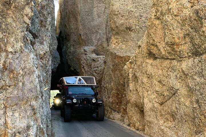 The Only Full Day - Jeep Bison Safari - W/ Lakeside Picnic Lunch