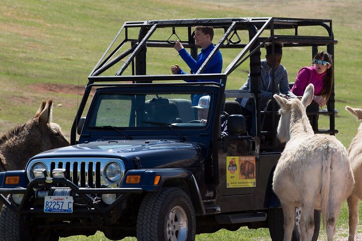 The Only Full Day - Jeep Bison Safari - W/ Lakeside Picnic Lunch