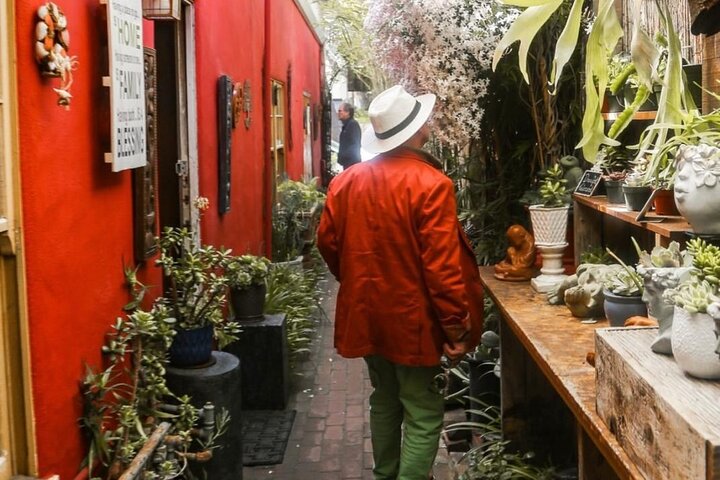 Wine Tasting and Walking Tour of Carmel-by-the-Sea