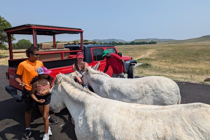 The Only Full Day - Jeep Bison Safari - W/ Lakeside Picnic Lunch