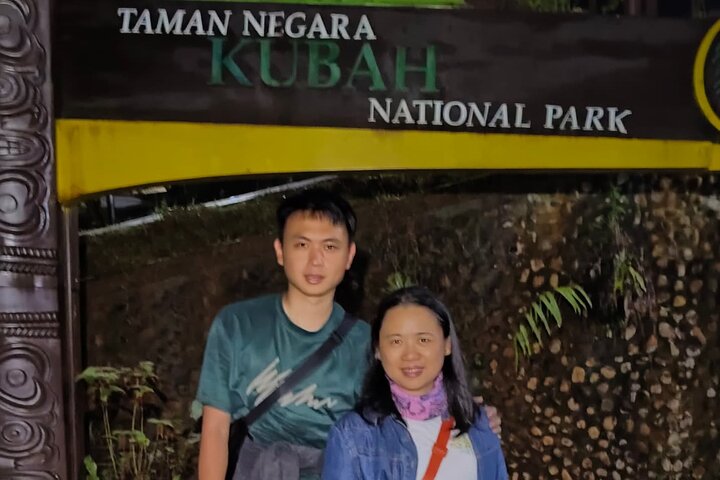Kubah's Nocturnal Wonders Nighttime Frog Safari