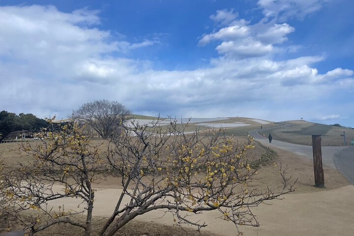 North Ibaraki Tour